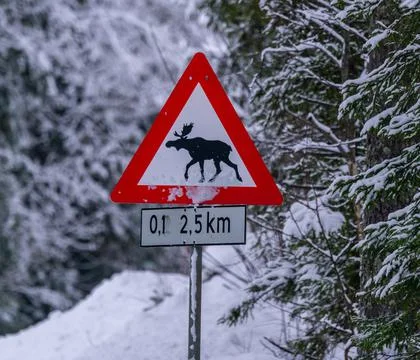Crossing moose warning sign on the side of a road. 스톡 사진
