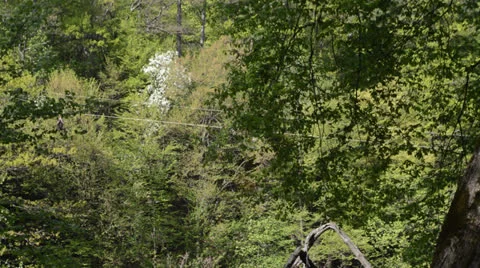 Crossing a mountain river 库存影片 23120029