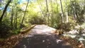 crossing one lane bridge over rocky river autumn forest Vidéos HD
