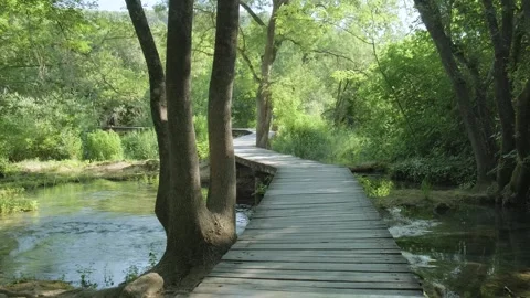 Crossing over a tranquil stream, river on a charming log bridge Stock-Footage 259075597