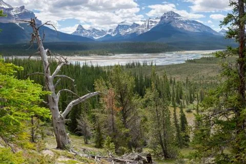 The Crossing Фото