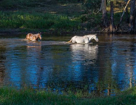 The Crossing Stock Photos