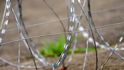 Crossing Razor Wire Loops Above Patch of Grass, Macro Detail Stock-Footage 344119003