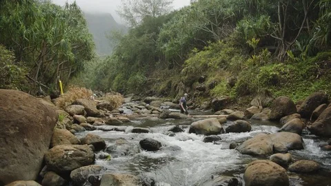 Crossing River Stock Footage 75260270