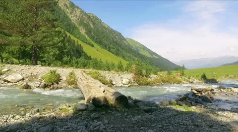 Crossing the river on a log Stock Footage 68348202