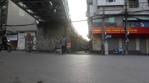 Crossing the road with dog Stock Footage 88615509