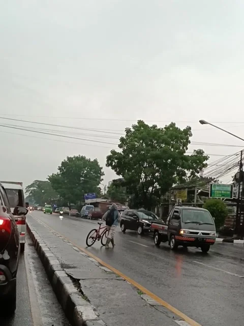 Crossing the road Stock Footage 219667348