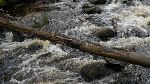 Crossing rocky river Stock Footage 122207295