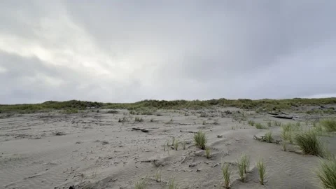 Crossing Sandy Dune Flats Dotted with Beach Grass Stock Footage 339378366