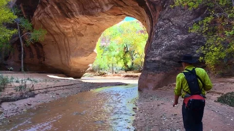 Crossing stream Video stock 97757556