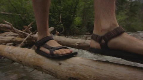 Crossing a stream on logs in a lush forest during a sunny day Stock Footage 288593623