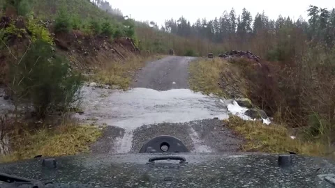 Crossing stream on road Stock Footage 172422449