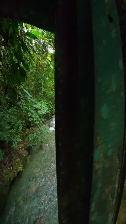 Crossing Through Old Bridge Over a Forest Stream Surrounded by Lush Green J.. Stock Footage 342190631