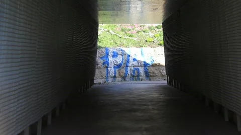 Crossing The Tunnel 스톡 동영상 785151
