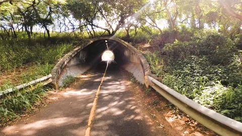 Crossing the to Tunnel Stock Footage 244364346