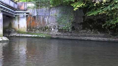 Crossings of a small river, under a bridge Stockbeeldmateriaal 96121434