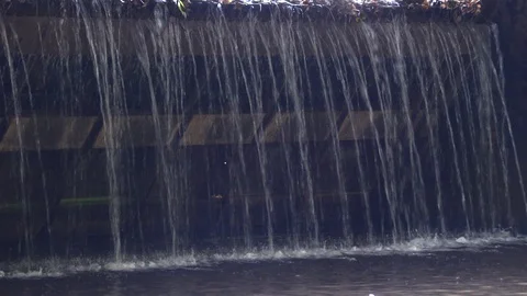 Crossings of a small river, under a bridge Video stock 96123234