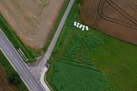 Crossroads and fields Stock Photos