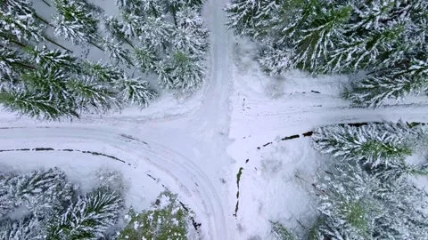 Crossroads in the forest. Choose the right path and direction and reach Stock Footage 258650834