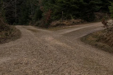 Crossroads in the middle of the forrest Stock Photos