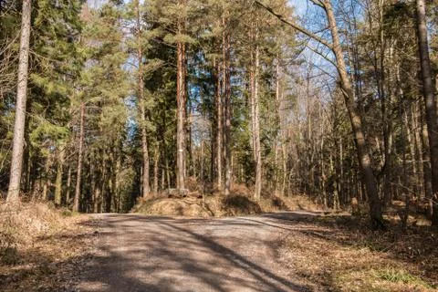 Crossroads in the middle of the forrest Stock Photos