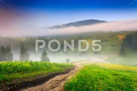 Crossroads in the morning mist in mountains Stock Photos