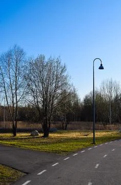 Crossroads of Paved Paths with a Streetlight Stock Photos