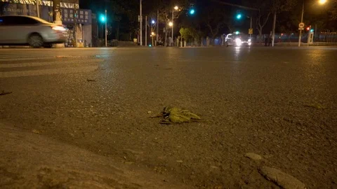 The crossroads of Shanghai at midnight Video stock 124588742