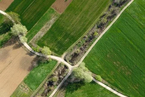 Crossroads through the green fields and arable land. Agriculture fields above Stock Photos