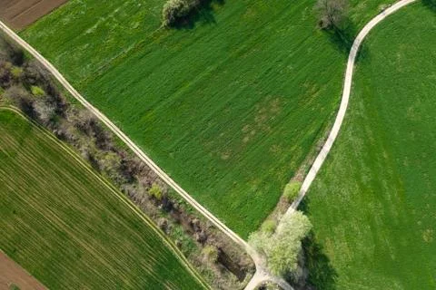 Crossroads through the green fields and arable land. Agriculture fields above Stock Photos