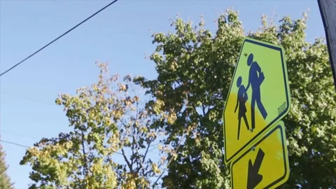 Crosswalk Stock Footage 232870451