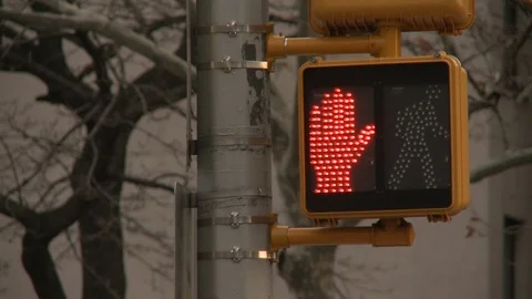 Crosswalk light turning green Stock Footage 104880345