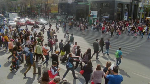Crosswalk in mexico city Stock Footage 228684028