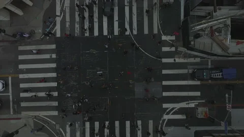 Crosswalk Protesters Stock Footage 132235988