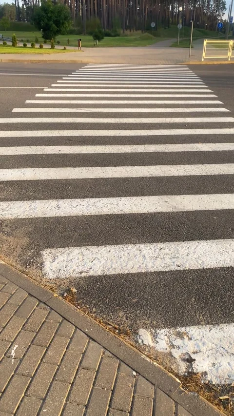 Crosswalk on the road. Vertical video Stock Footage 289663161
