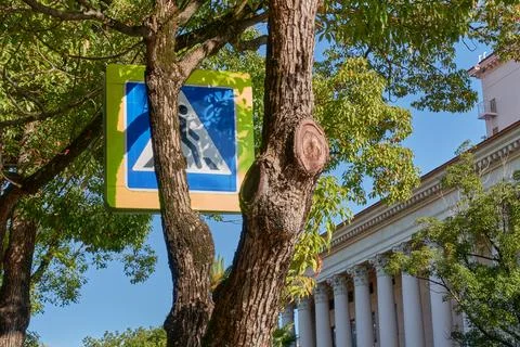 Crosswalk sign between two tree trunks with pruned branches. Stock Photos