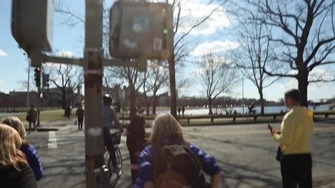 CROSSWALK STEADICAM Video stock 181011410