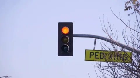 Crosswalk Stoplight Evening Video stock 89491774