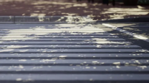 Crosswalk with tree shadows and sunlight in urban setting during the day Stock Footage 340212293