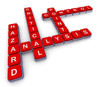 Crossword of haccp Stock Illustration