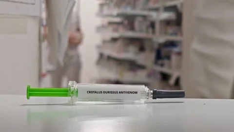 CROTALUS DURISSUS ANTIVENOM venom-neutralizing immunoglobulin treatment for Stock Footage 342076431