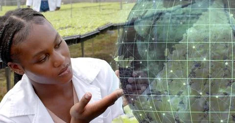 Crouching scientist examining digital globe overlay on grassy plot with seedling 스톡 사진