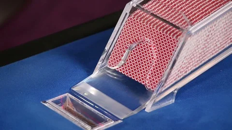 Croupier placing black jack and poker cards on the casino table Stock Footage 71469167