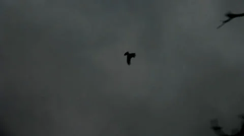 The Crow 2 Stock Footage 33466490