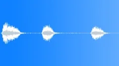 Crow 20Sound Effect