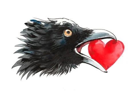 Crow and heart Illustrazione stock