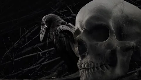 Crow and skull composition. Foto stock