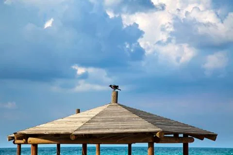 Crow at the beach Stock Photos