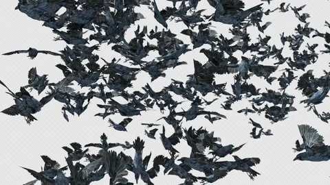 Crow, Bird, Bat, 3D Render, With Alpha Channel Stock Footage 243028784