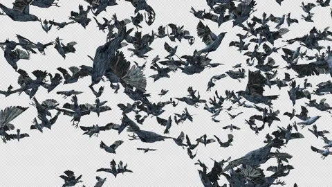 Crow, Bird, Bat, 3D Render, With Alpha Channel Stock Footage 244155696